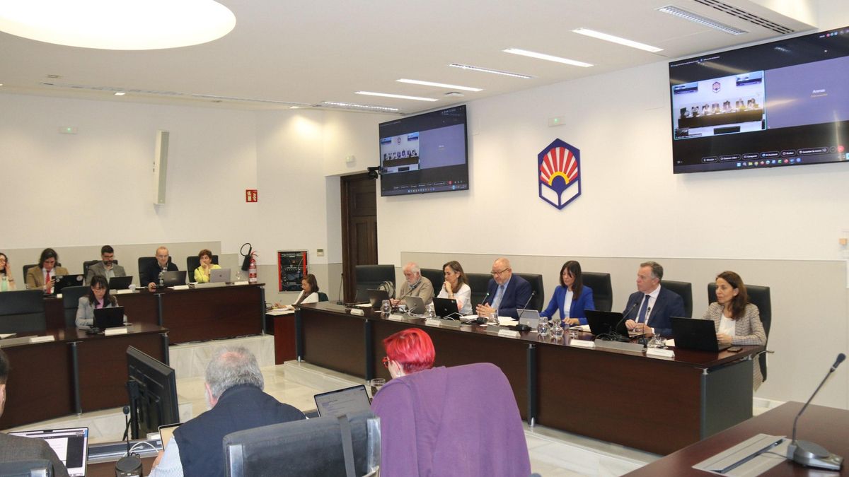 Imagen del Consejo de Gobierno de este jueves.