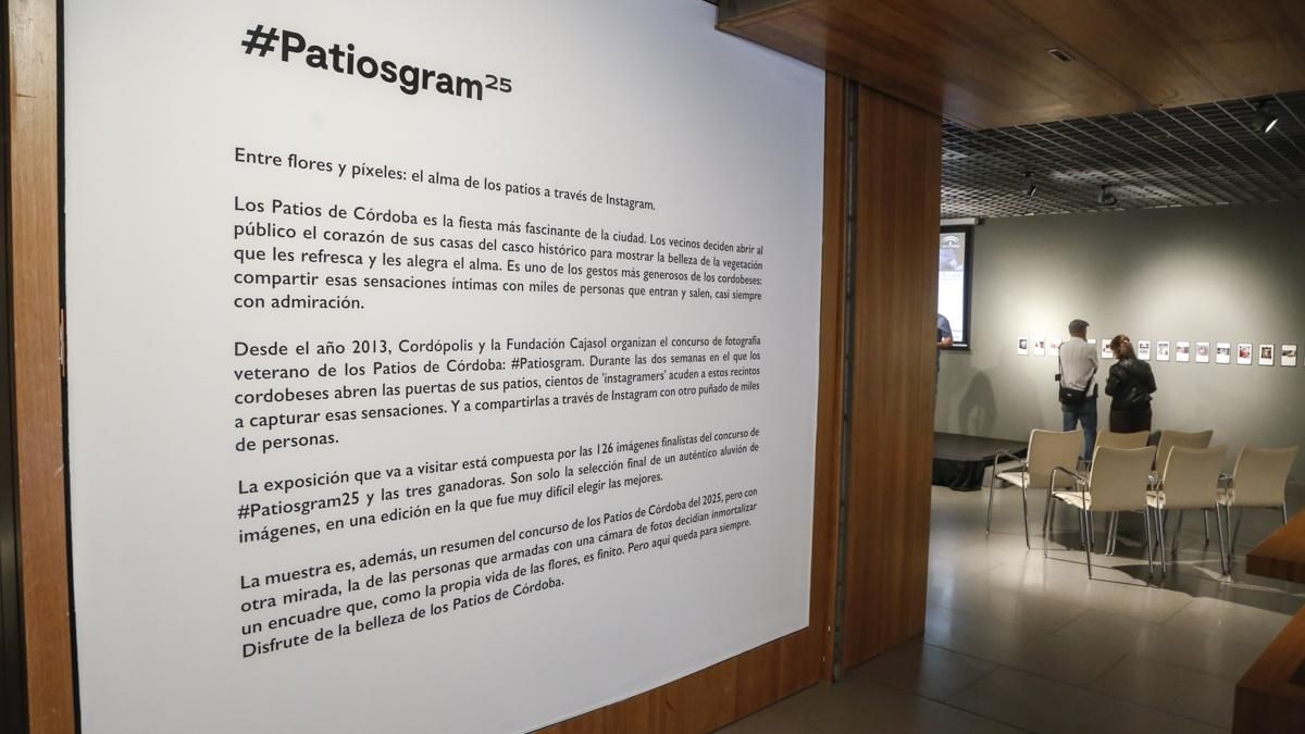 Inauguración de la exposición de Patiosgram25 en la Fundación Cajasol