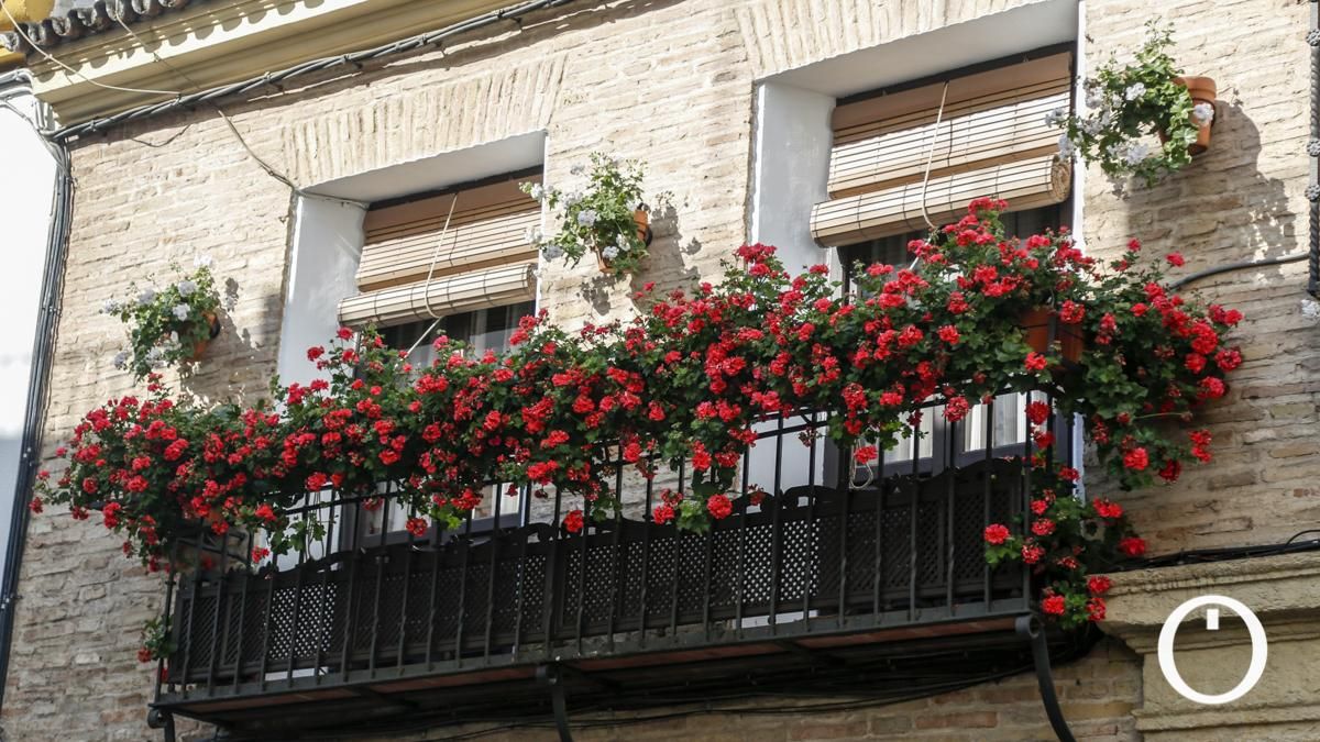Rejas y Balcones en la C/ Hermanos López Dieguez, 11