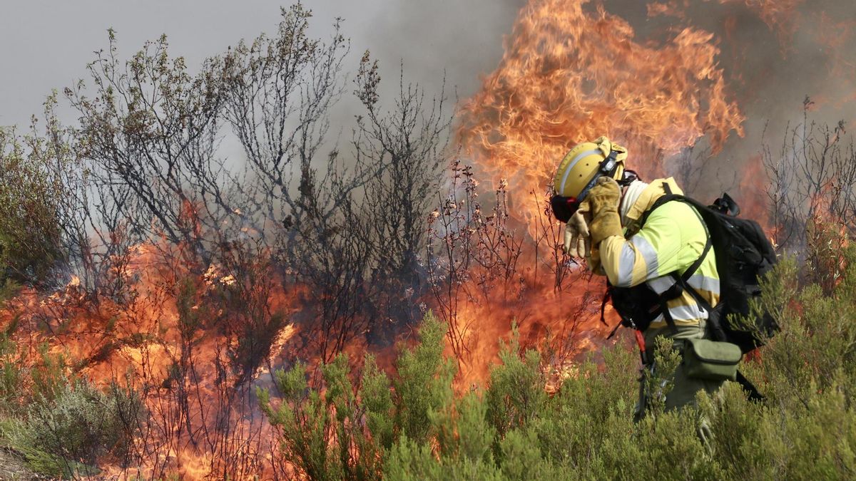 El aire que rodea al planeta combina oxígeno libre, materiales orgánicos y fuentes constantes de calor natural