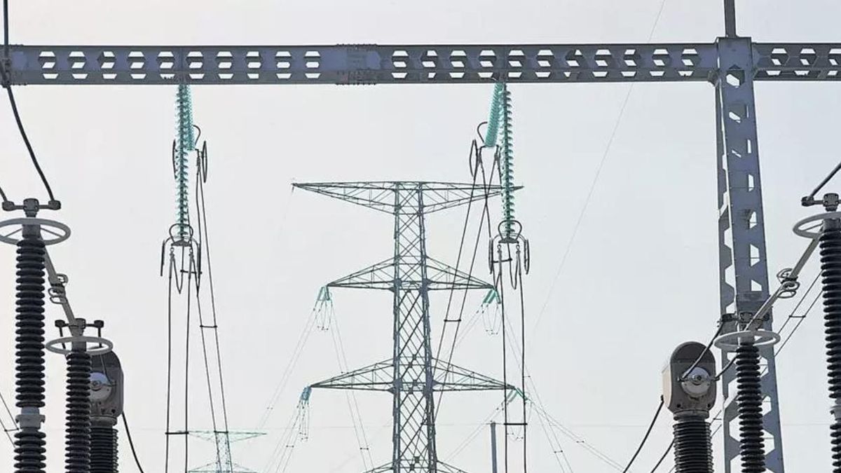 Los informes de Red Eléctrica deben hacerse públicos