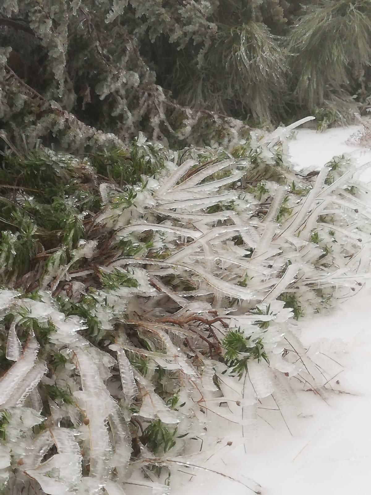 En la imagen, exterior de la residencia del IAC en el Observatorio del Roque de Los Muchachos, congelado, este domingo.