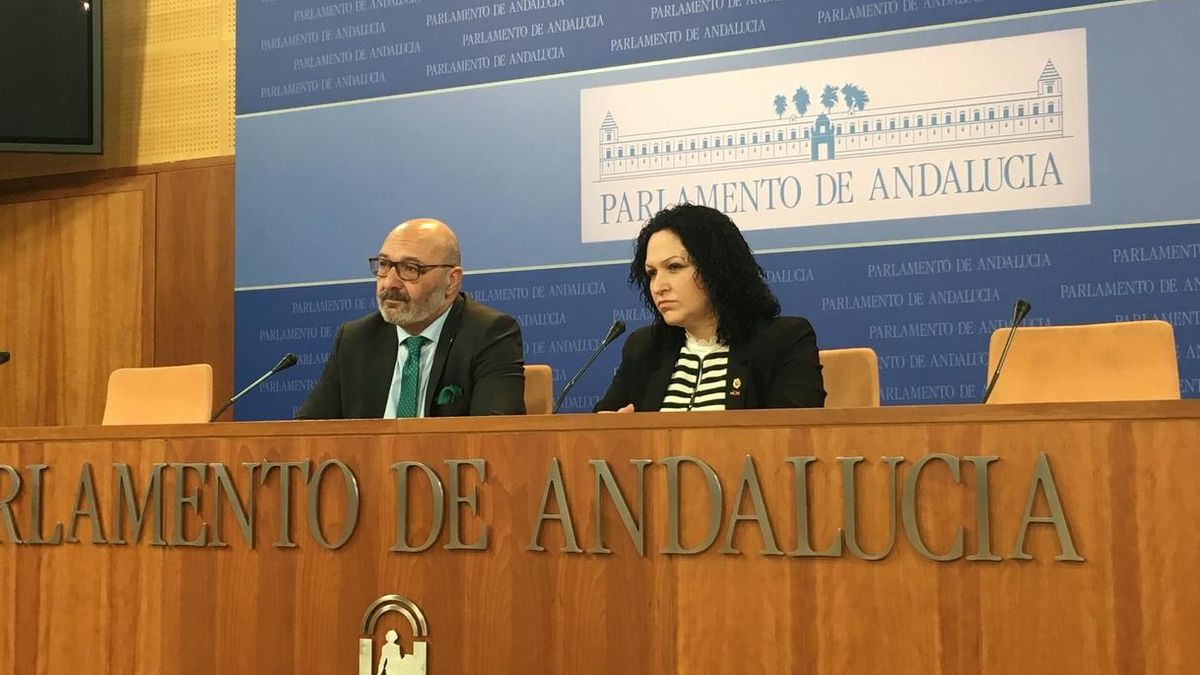 Vox devolverá al Parlamento andaluz el "excedente anual" de la subvención que recibe y propondrá una reducción del 50%