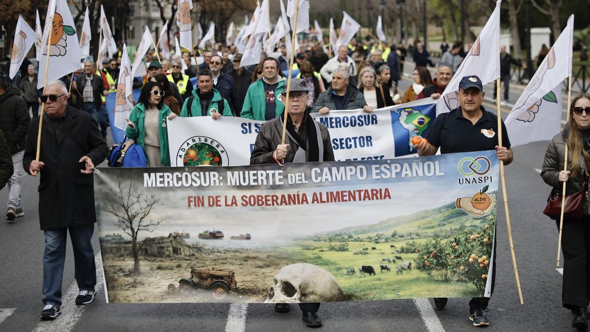 Una tractorada contra el acuerdo comercial UE–Mercosur, promovida por asociaciones de agricultores independientes valencianas adscritas a Unaspi (Unión Nacional de Asociaciones del Sector Primario Independientes), ha colapsado este lunes el tráfico en el centro de la ciudad de València.