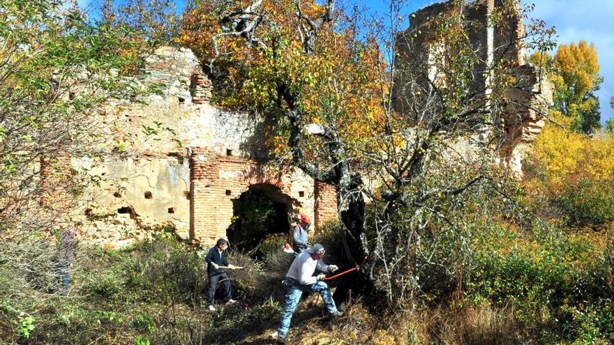 Interior a medio desbrozar (Foto David Gustavo López).