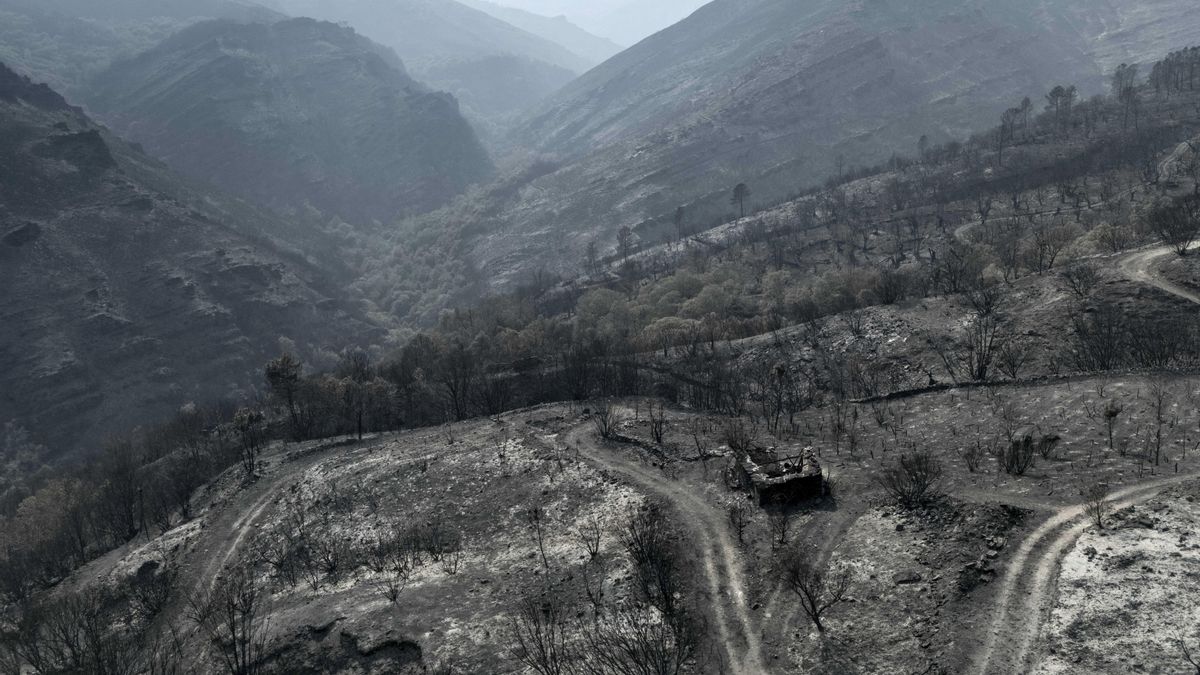 Superficie calcinada por el peor incendio de la historia de Galicia, el de Larouco (Ourense).