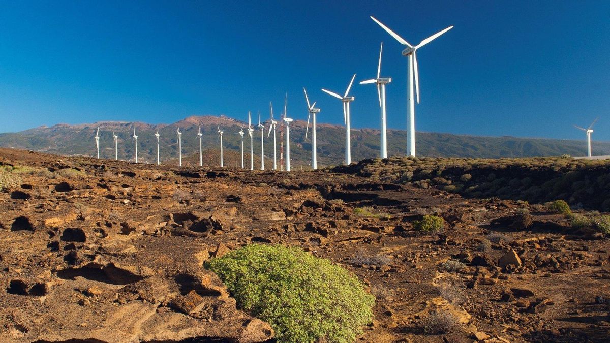 Canarias sitúa en el 20% la cobertura renovable y tiene que triplicar la potencia en 2030