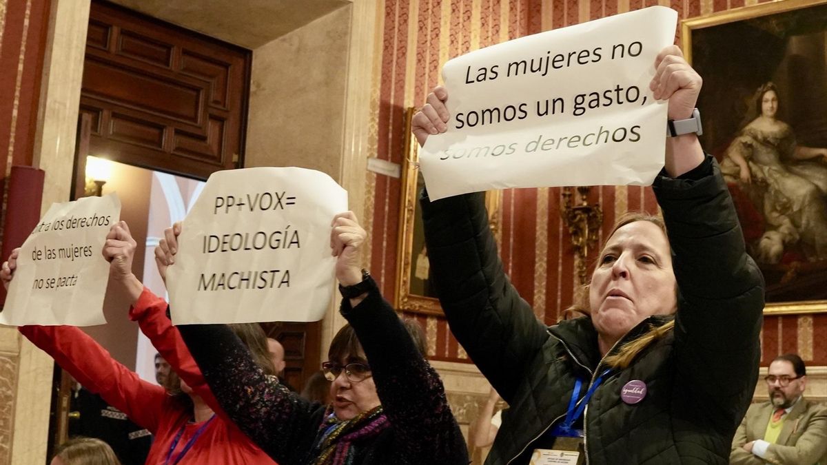 El Consejo Municipal de la Mujer se revuelve contra el PP en Sevilla: lo vacía de funciones y "humilla" a sus integrantes