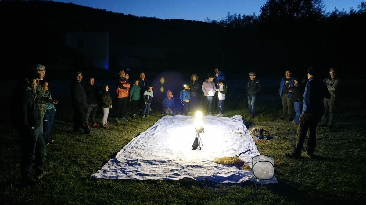 Naturaleza, mariposas nocturnas y reciclaje: los planes de 'Pasea La Rioja' para este fin de semana