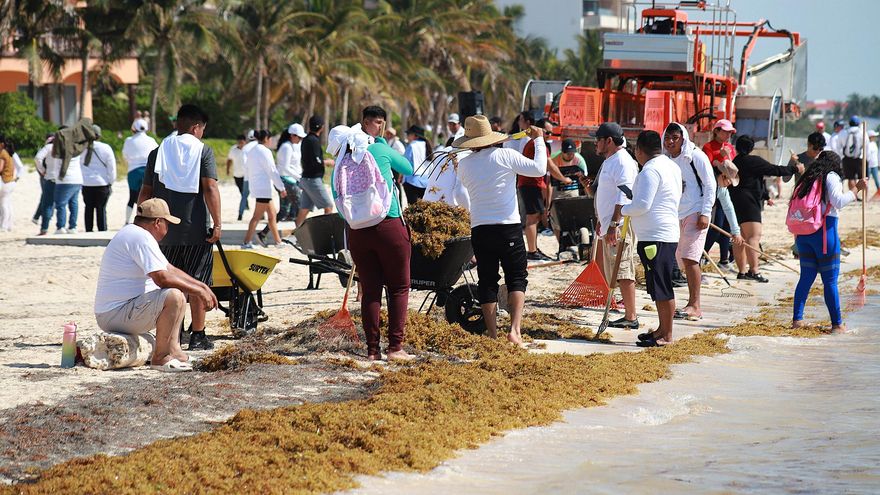 Arman operativo contra el sargazo en el Caribe mexicano por Semana Santa