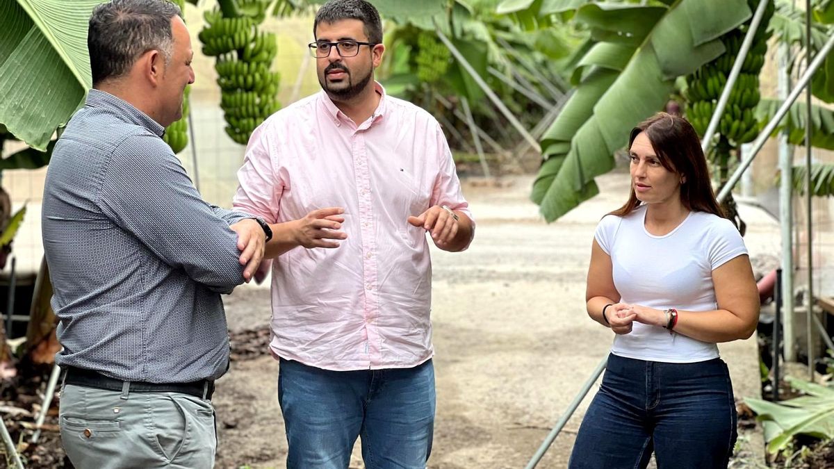 El PSOE espera que CC “cumpla con los agricultores y destine hasta el último céntimo de los 100 millones a la recuperación agraria”