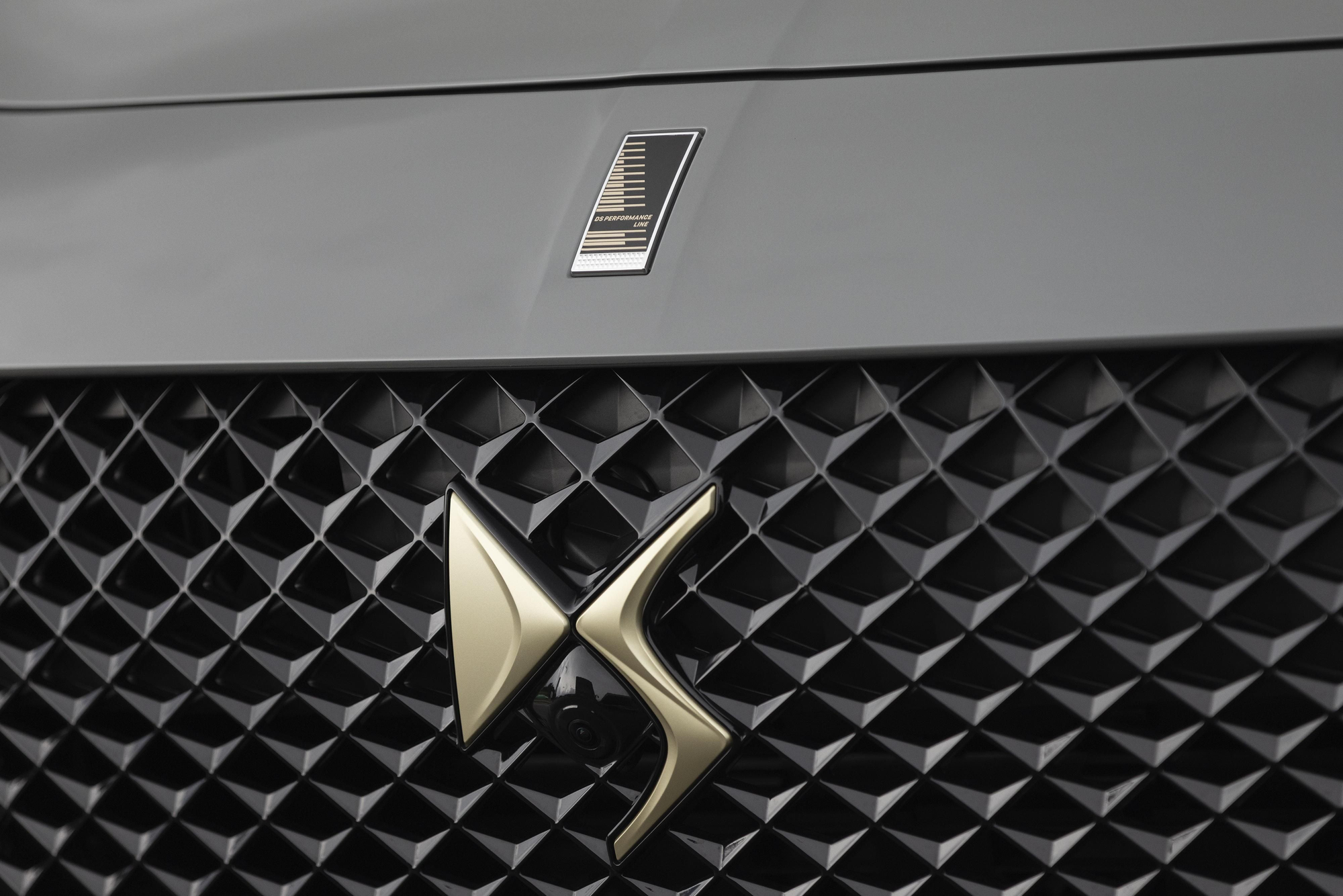 Detalles dorados e insignia propia en el frontal del coche.