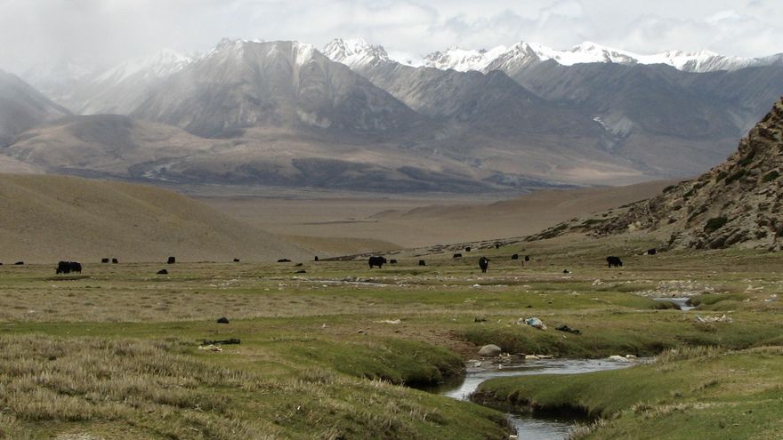 China levanta en el Tíbet una planta solar gigantesca con el tamaño de una gran ciudad, ¿puede un desierto cubierto de paneles solares y ovejas marcar el final del carbón?