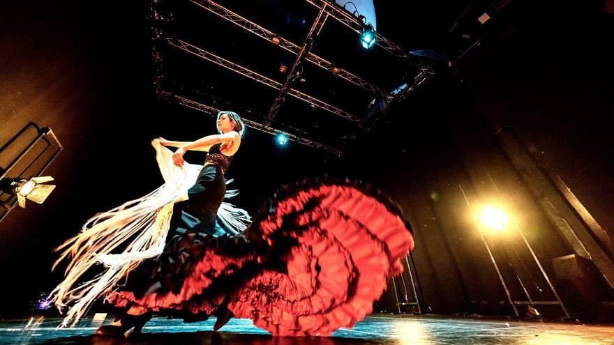 La artista, durante una actuación.