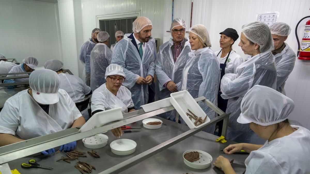 Una quincena de mujeres de la comarca oriental de Cantabria se forman como sobadoras de anchoa