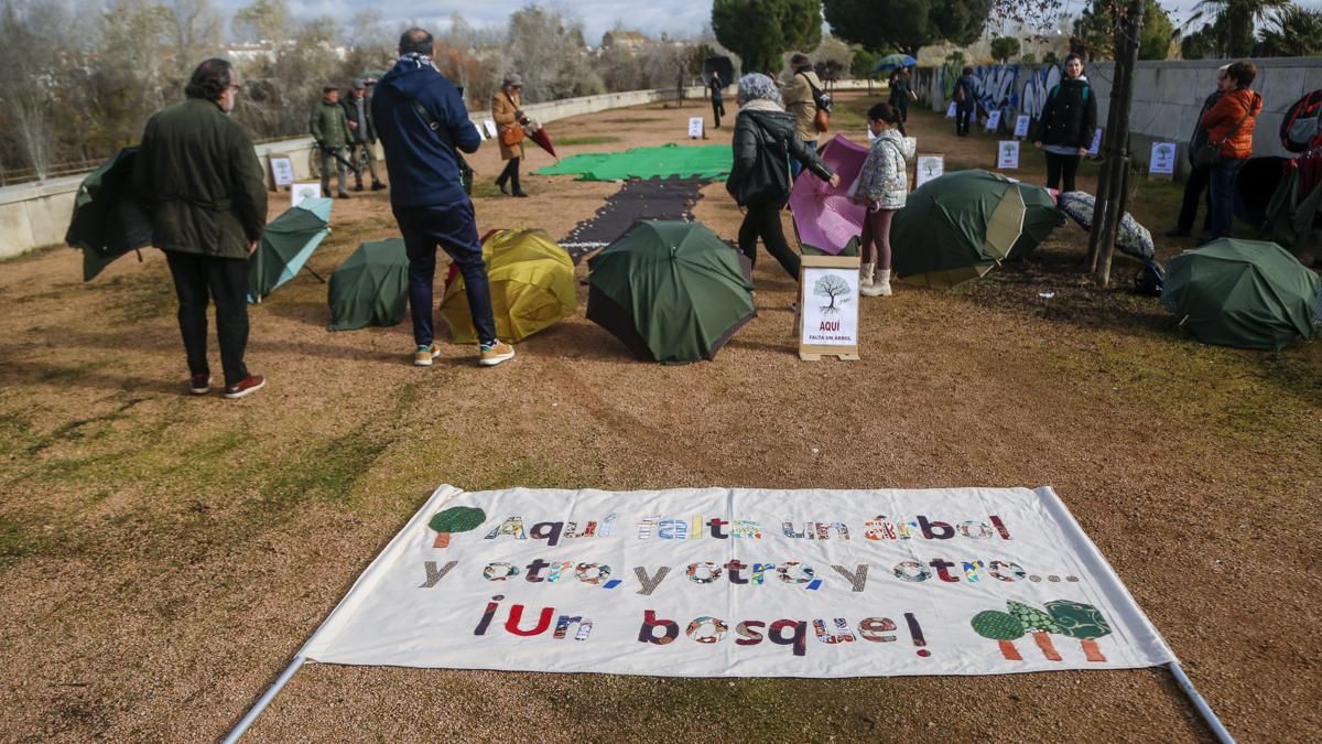 AAVV Axerquía y Regina-Magdalena realizan la actividad 'Aquí falta un árbol' en el Parque de Miraflores