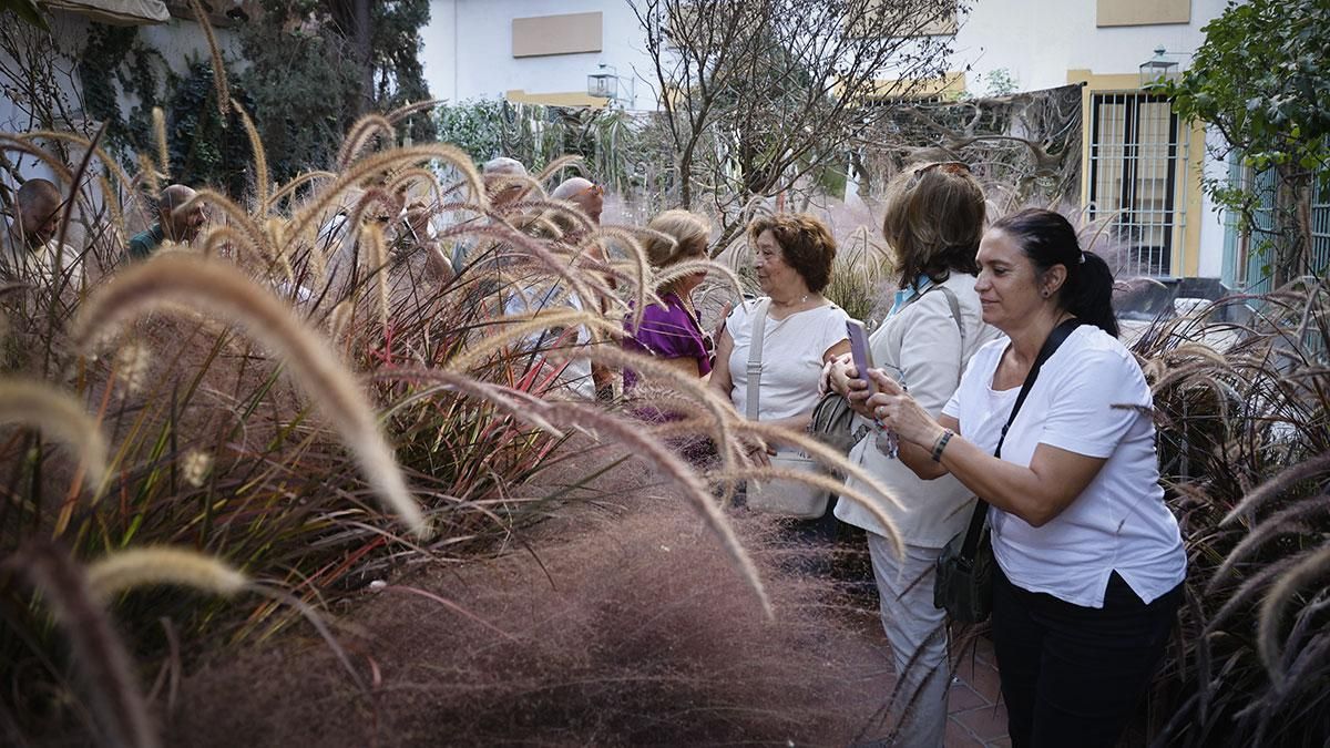 FLORA 2025 - Jardín sin tiempo' (Patio del Reloj de la Diputación)
