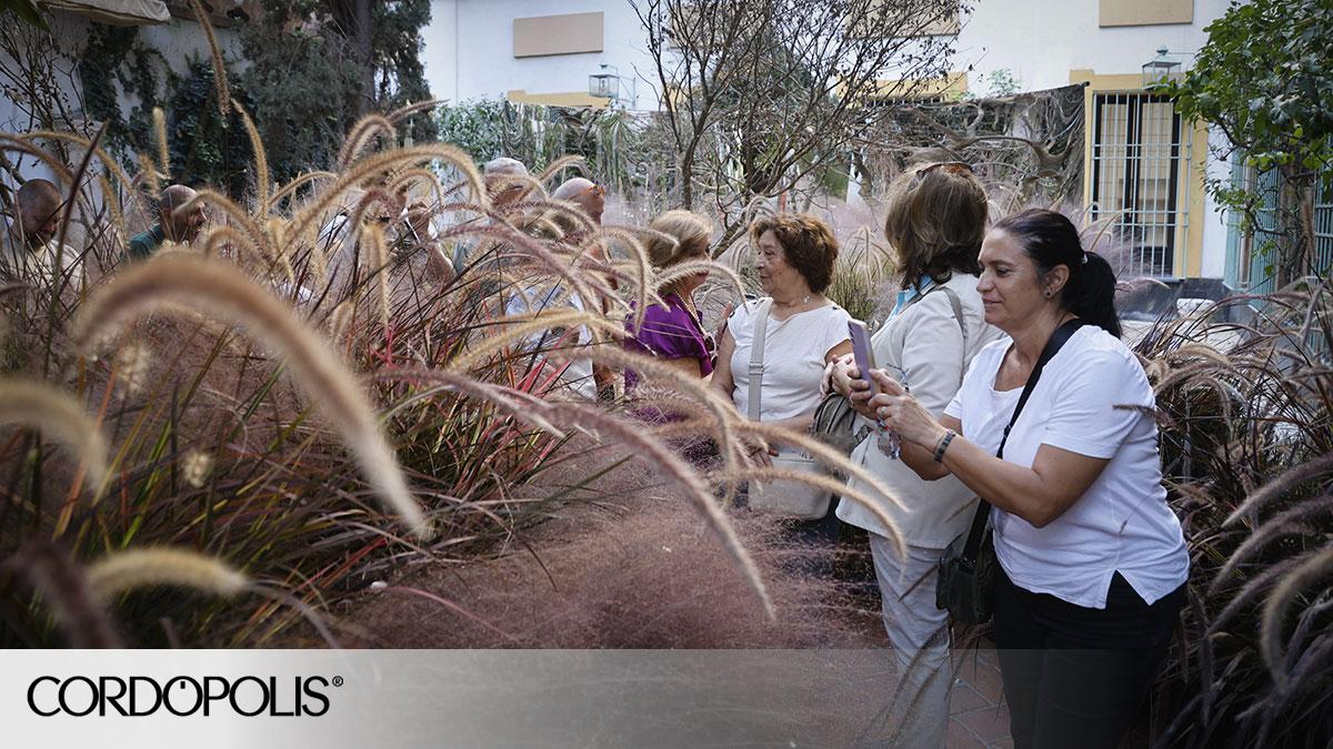 cordopolis.eldiario.es