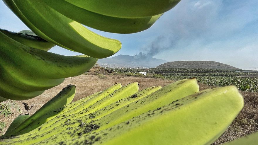 Cenizas del volcán de La Palma. / Fotos: Leandro Betancor Fajardo