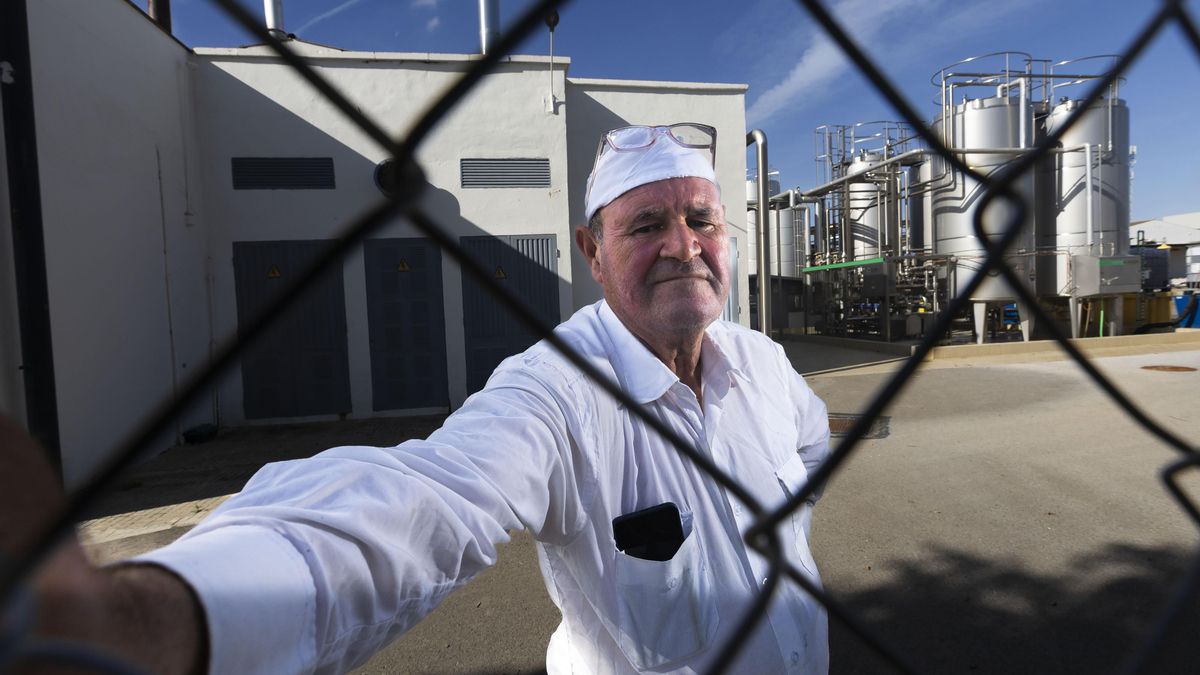 Los trabajadores, al rescate de la histórica industria lechera de Mallorca: "Agama es la memoria viva de obreros y payeses"