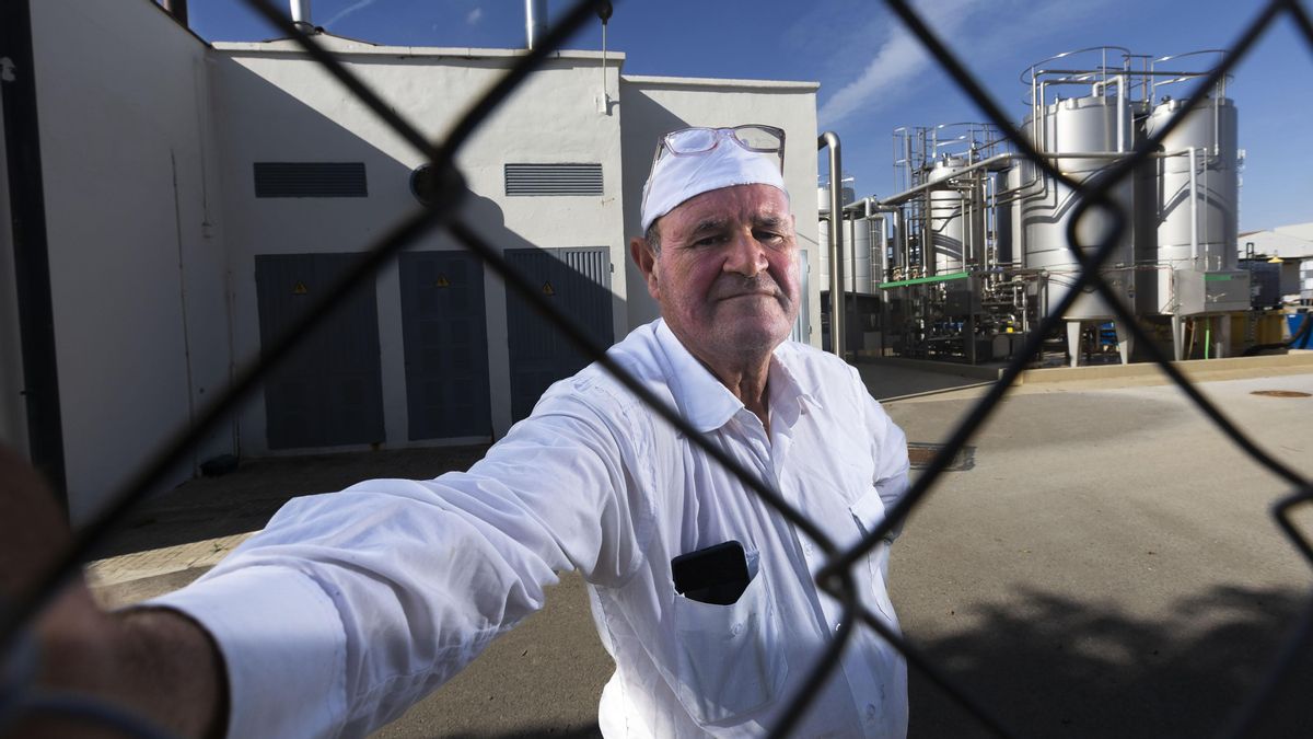 Els treballadors, al rescat de la històrica indústria lletera de Mallorca: "Agama és la memòria viva d'obrers i pagesos"