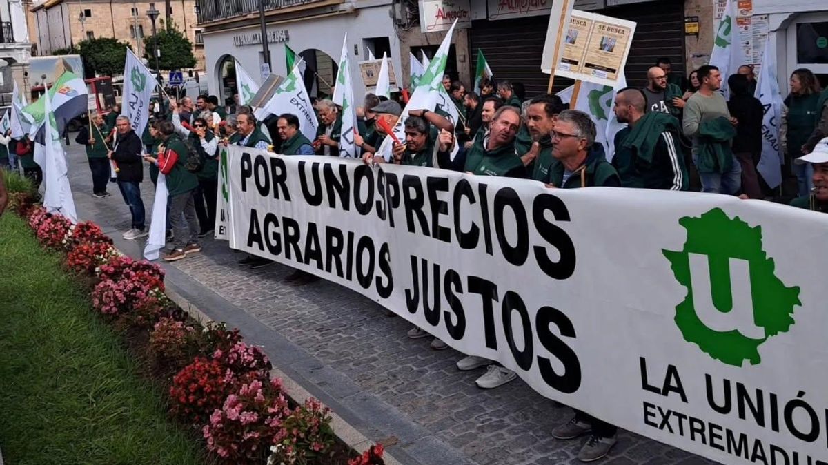 "Los 25 millones de Almaraz están mejor con los aceituneros": el grito de los agricultores frente a la Junta