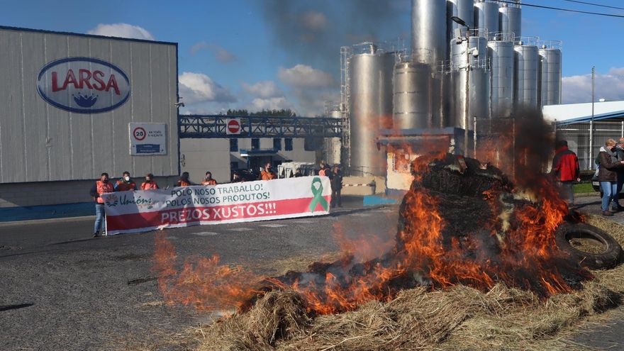 La ganadería gallega, en la cuerda floja: "Nos sale más rentable regalar el pollo que venderlo"