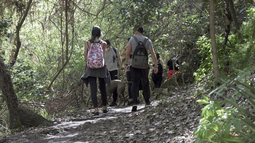 Varias personas y un animal en el barranco de Azuaje.