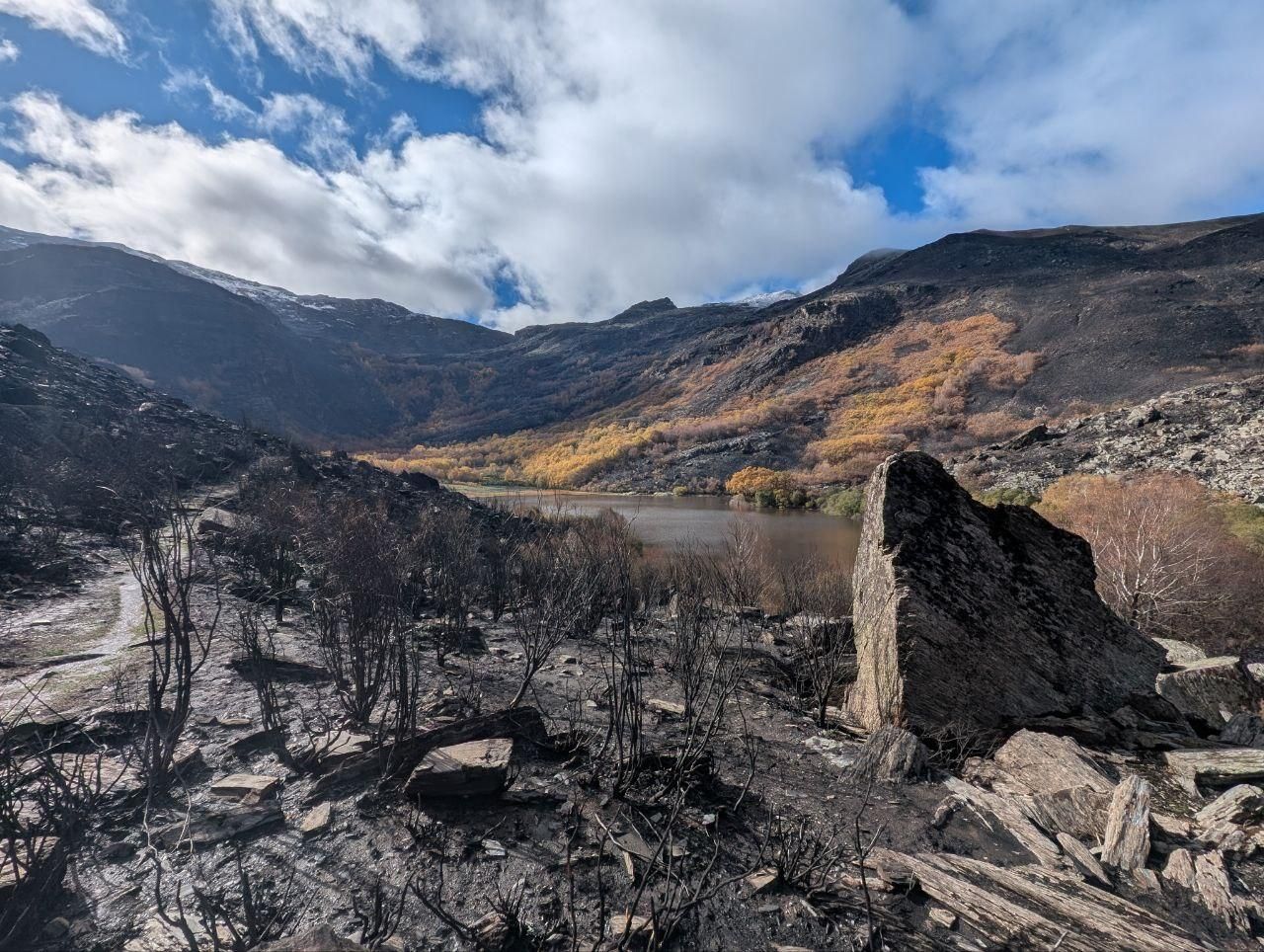El Lago de la Baña tres meses después de ser arrasado por el fuego