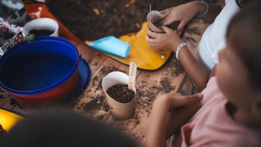 Taller Semillero en el Festival de las Ideas y la Cultura