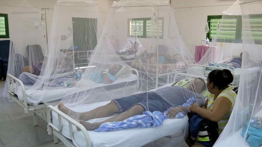 Dengue suma 5 muertos en febrero en Paraguay, los mismos que en todo el 2015