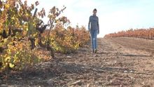 Los gases de efecto invernadero deben reducirse en Castilla-La Mancha en un 26% hasta 2030