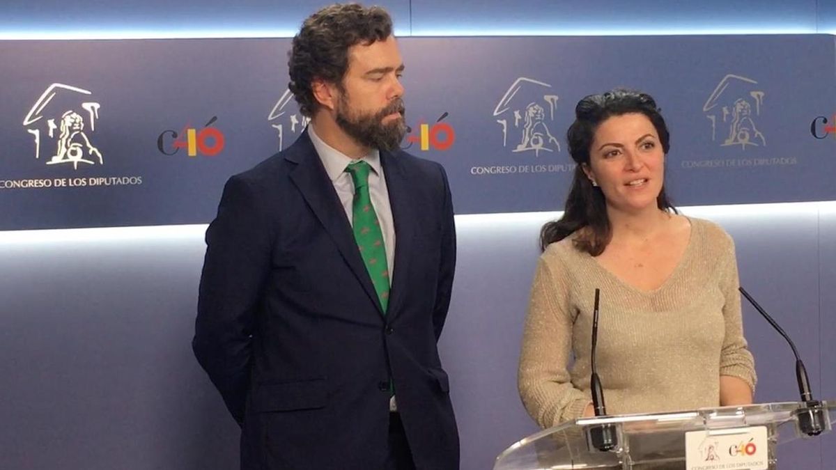 Vox advierte de una moción de censura si no entra en el gobierno de Granada