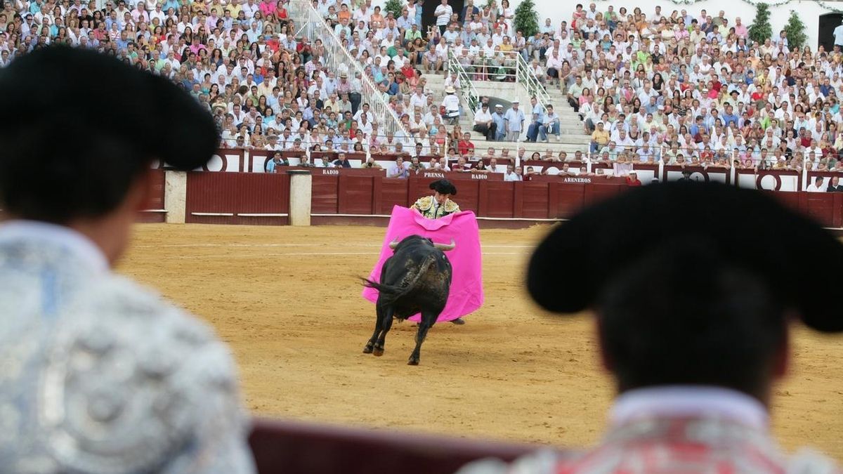 El Parlament balear aprueba la Ley de regulación de las corridas de toros y protección de los animales en Baleares