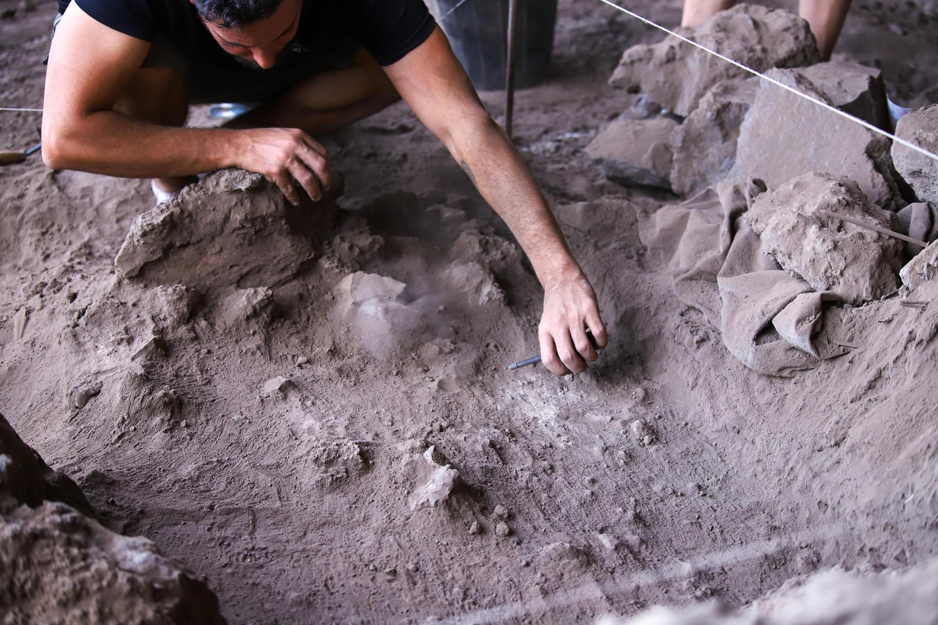 La octava edición del Campus de Arqueología de Tijarafe se ha desarrollado en el Barranco de Los Gomeros.