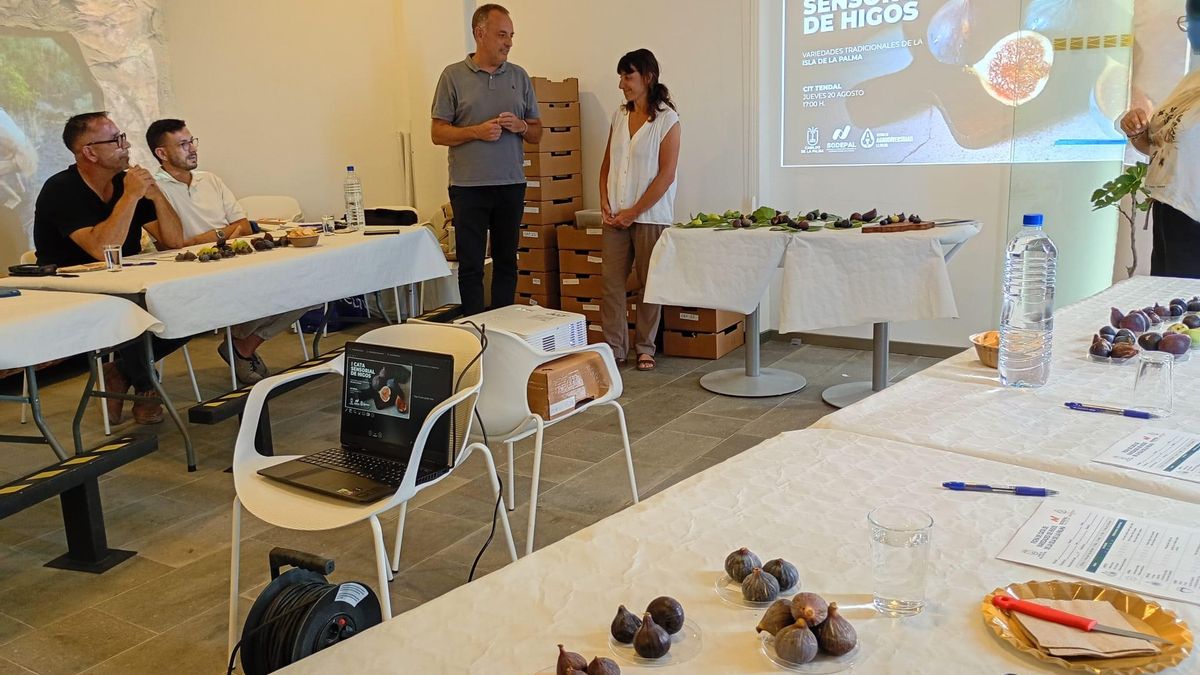 El Centro de Agrodiversidad de La Palma desarrolla un proyecto integral de protección y revalorización de la higuera  tradicional  de la Isla