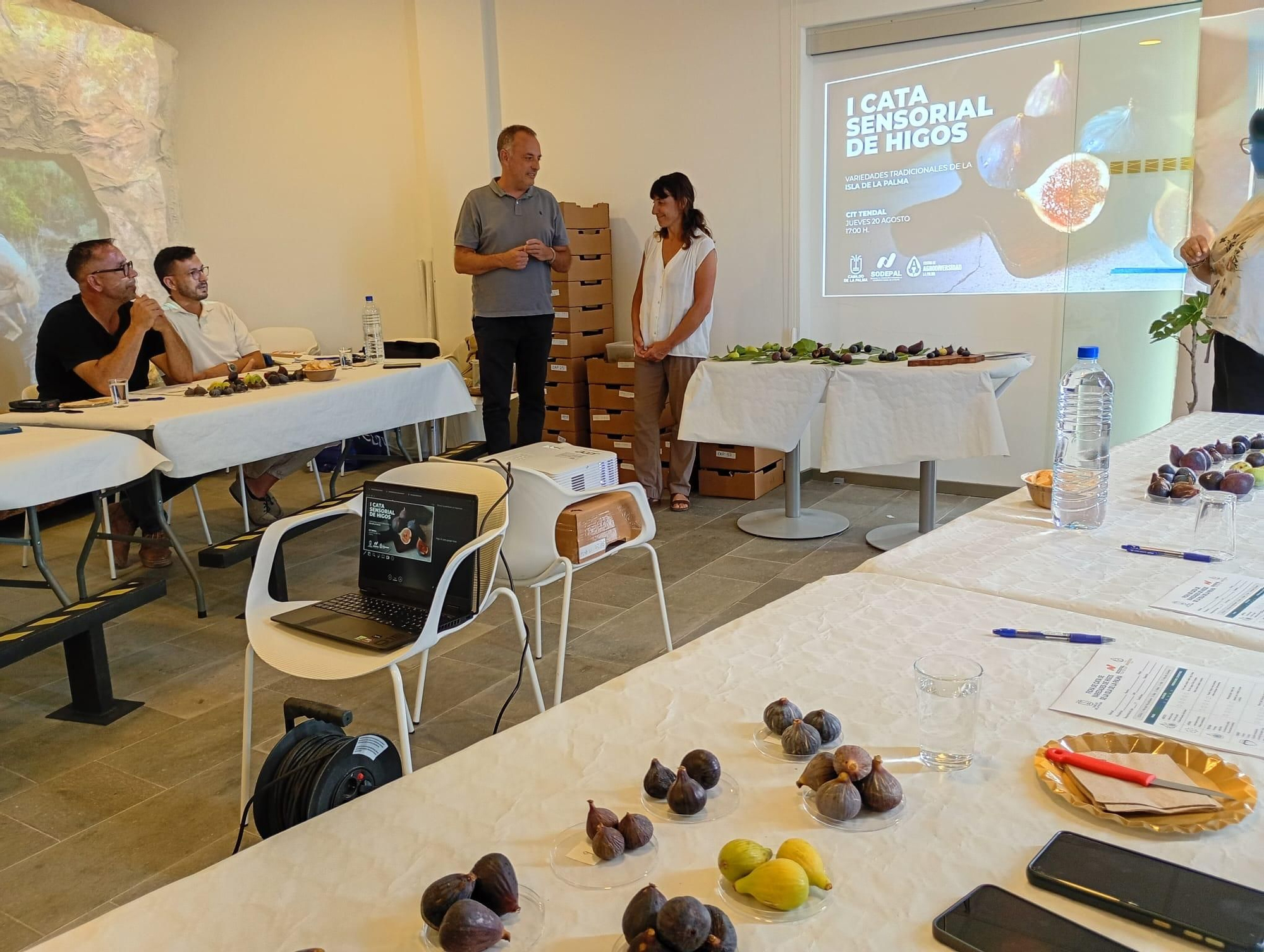 Cata sensorial y evaluación de las variedades tradicionales de higueras cultivadas en la finca del Centro de Agrodiversidad de La Palma.