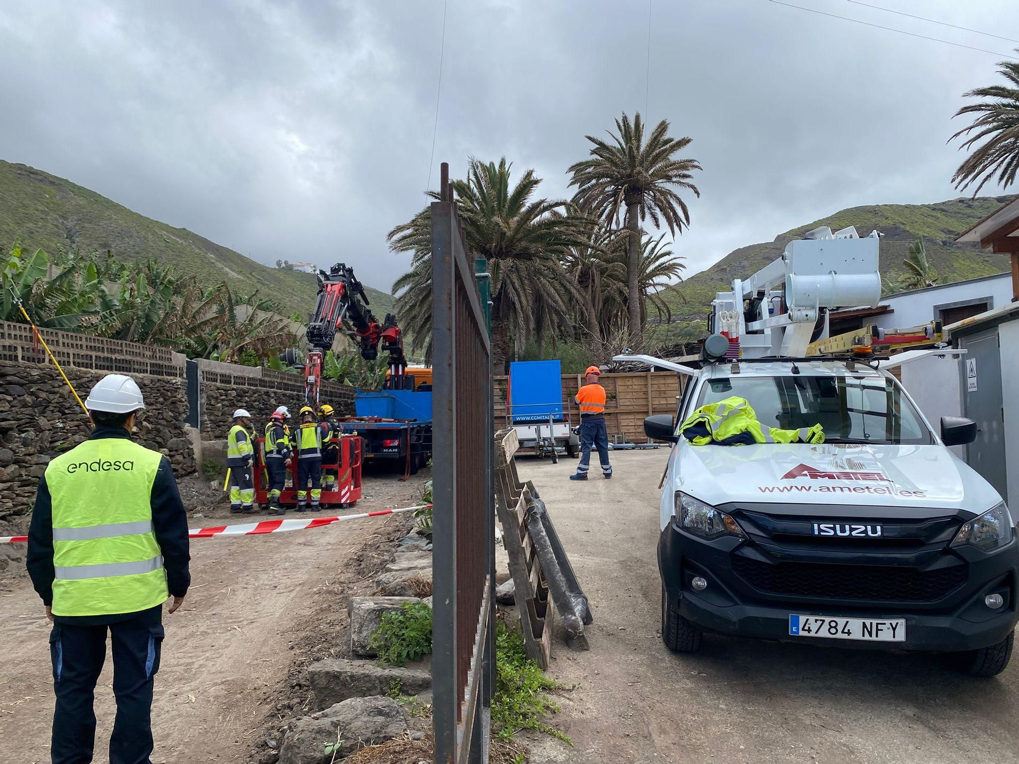 Operativo para la recuperación de la pardela.