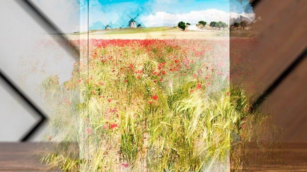 ¿Te gusta leer o quieres editar un libro? Castilla-La Mancha renueva su catálogo de obras literarias de la región