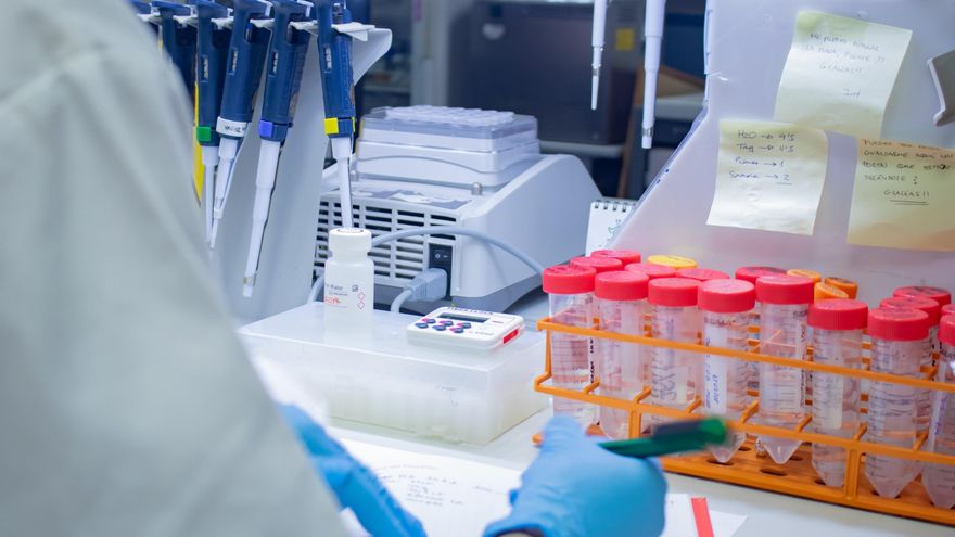 La intoxicación por los montaditos fue el 4 de enero, pero Salud inició la investigación nueve días después