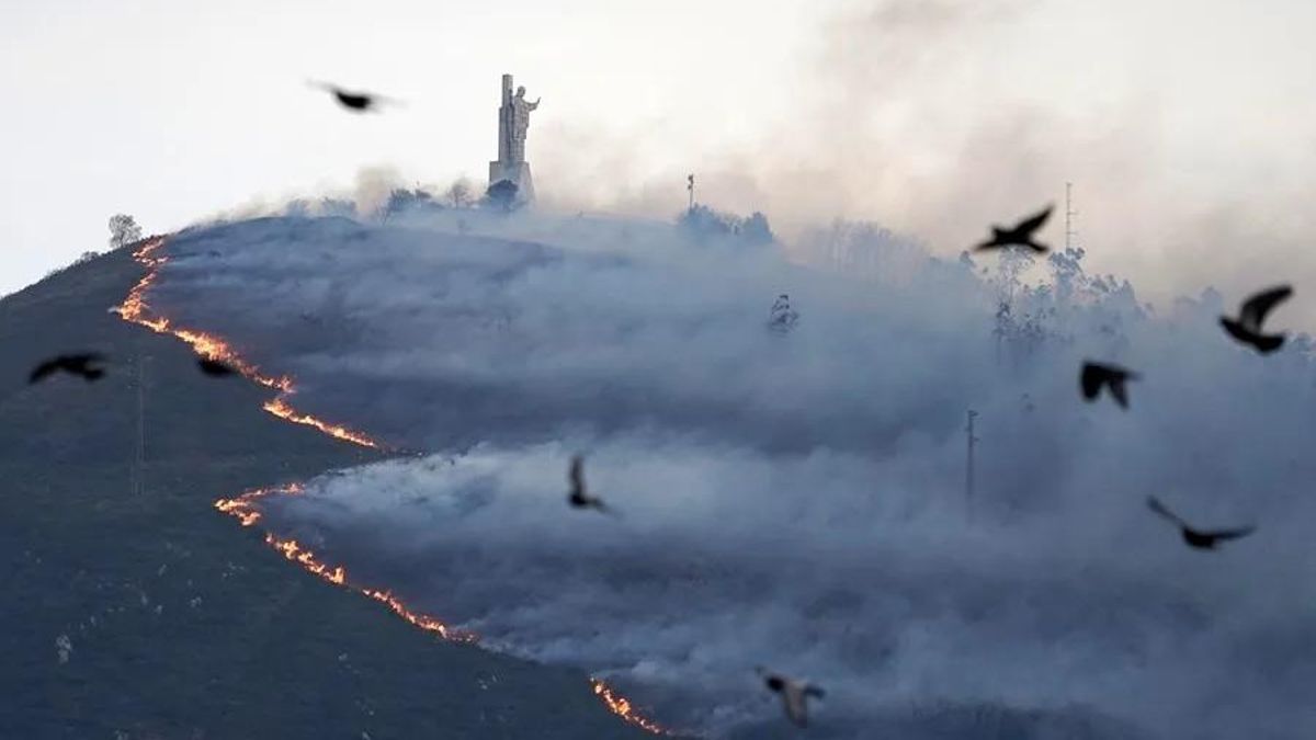 El incendio en el monte Naranco, el 31 de marzo de 2023, fue provocado y causó importantes perjuicios medioambientales.