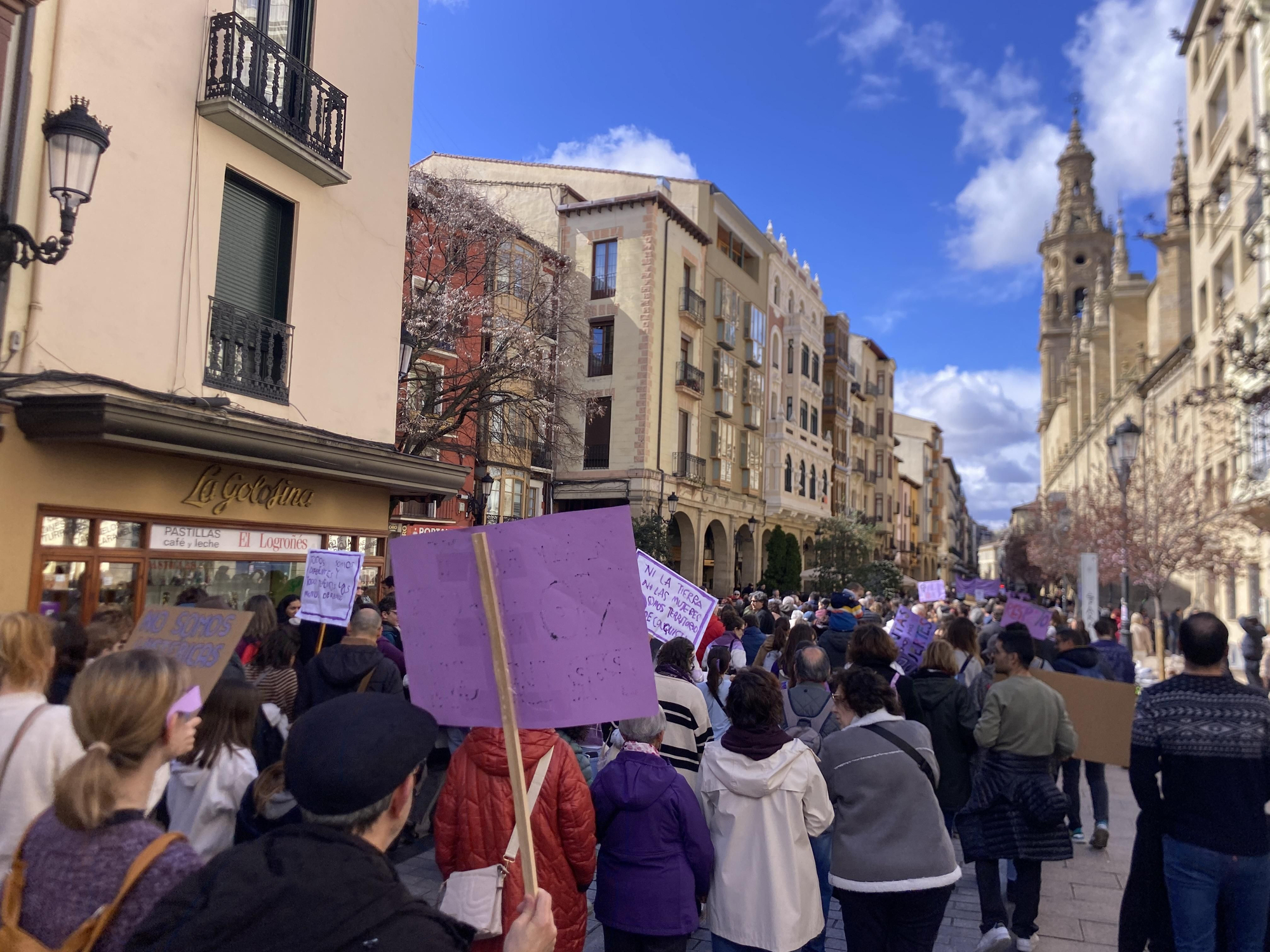 La manifestación de 8M en Logroño, en imágenes