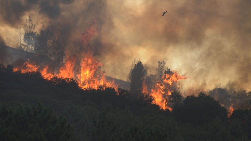 Incendio en Ribas de Sil (Lugo), este domingo