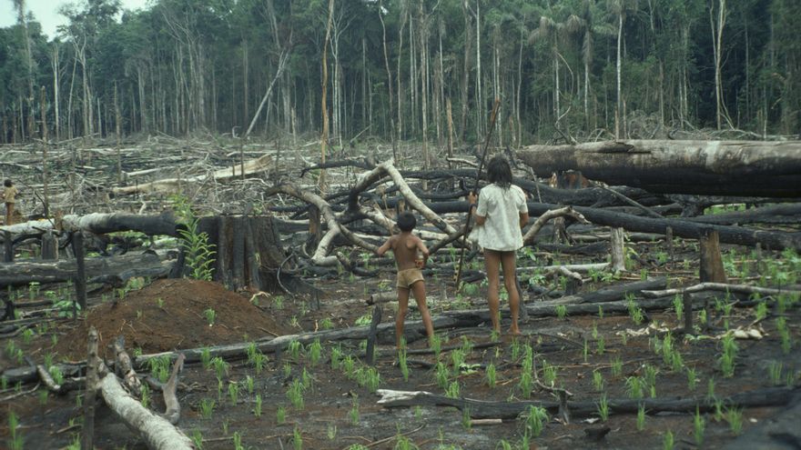Masacre en Amazonia: cómo el jefe de un pueblo indígena se convirtió en el rostro visible de una atrocidad