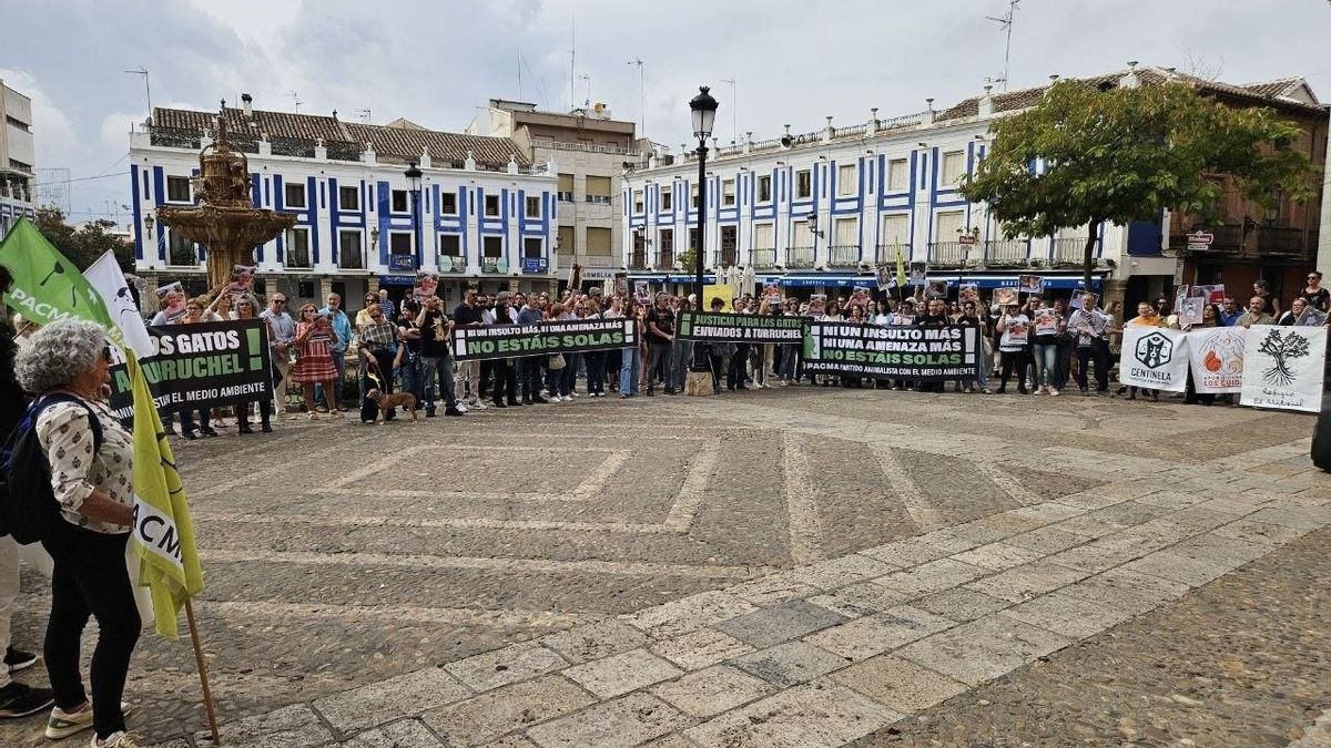 Pacma exige en Valdepeñas actuaciones urgentes contra el vecino "matagatos"