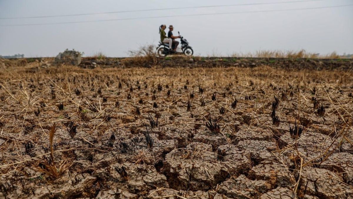 La sequía no termina cuando vuelve la lluvia: sus efectos pueden durar más de un año