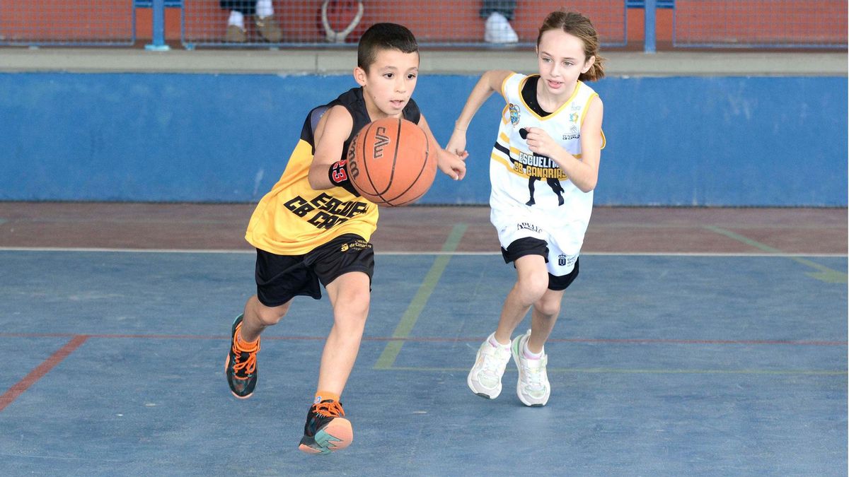 Los XXXIX Juegos Cabildo de Tenerife no paran en el puente de diciembre