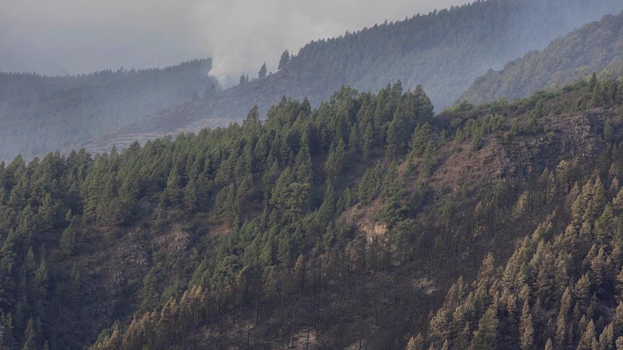 Incendio en Tenerife