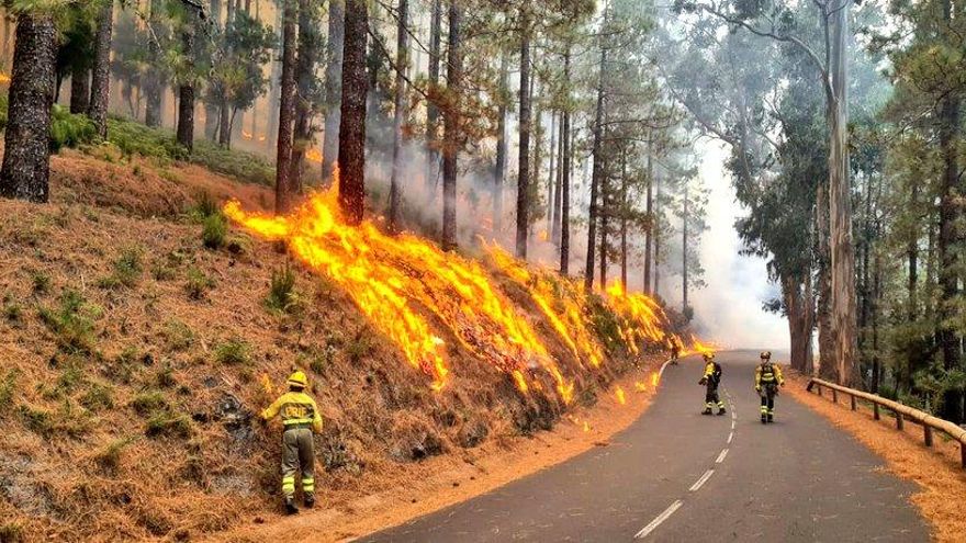 El incendio de Tenerife afecta 2.600 hectáreas y suma entre evacuadas y confinadas a unas 7.600 personas