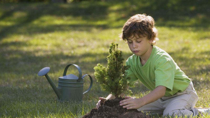 Día Mundial de la Educación Ambiental: ¿por qué se celebra el 26 de enero?